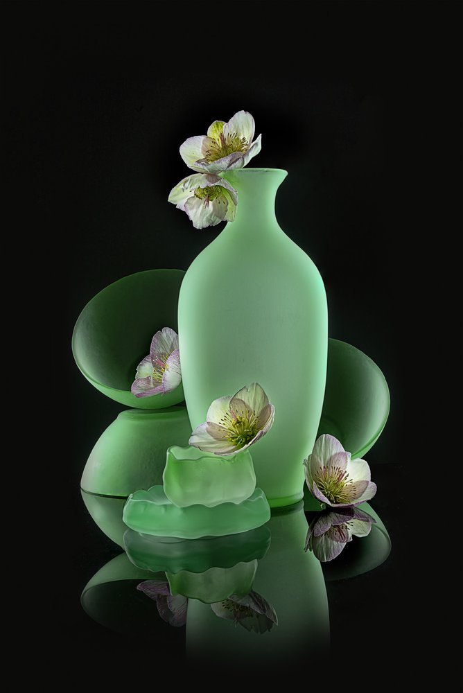Motif floral vert élégant - Lydia Jacobs