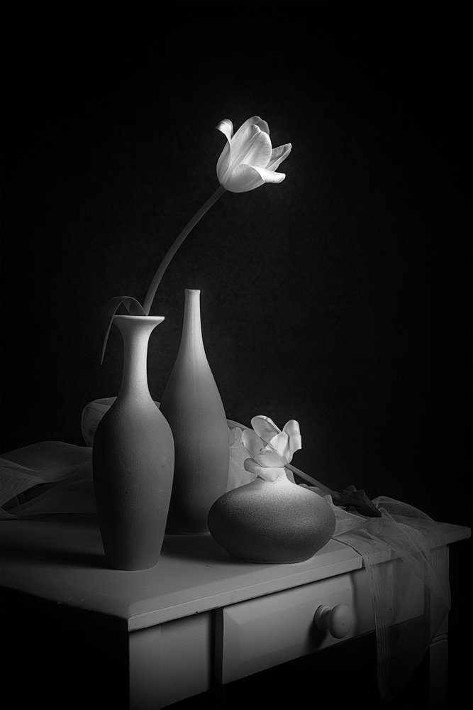 Nature morte élégante aux tulipes - Lydia Jacobs