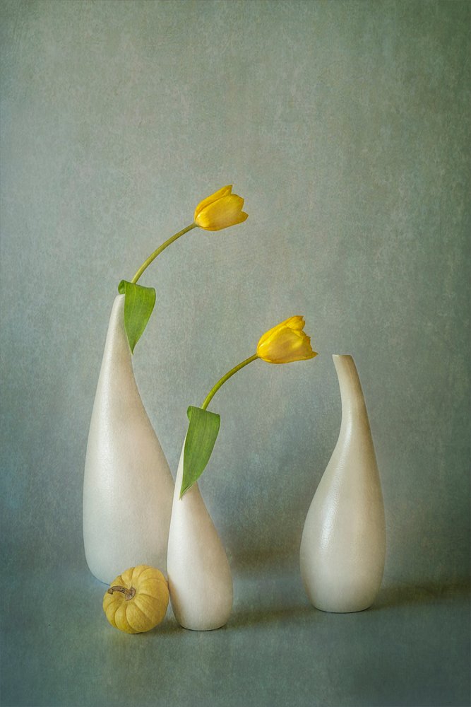 Nature morte aux élégantes tulipes jaunes - Lydia Jacobs