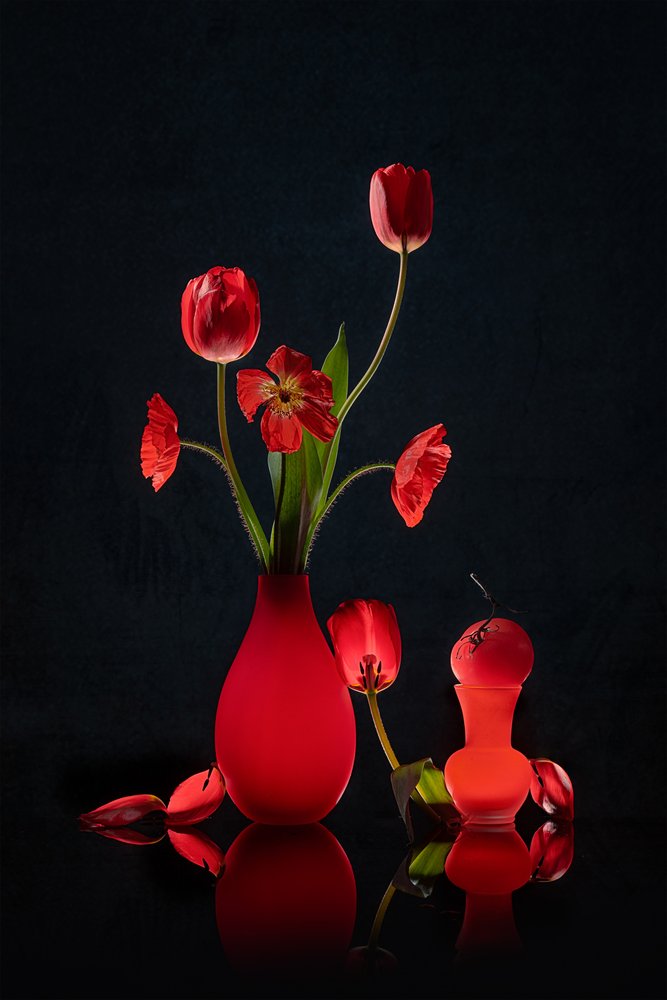 Tulipes rouges éclatantes et vases - Lydia Jacobs