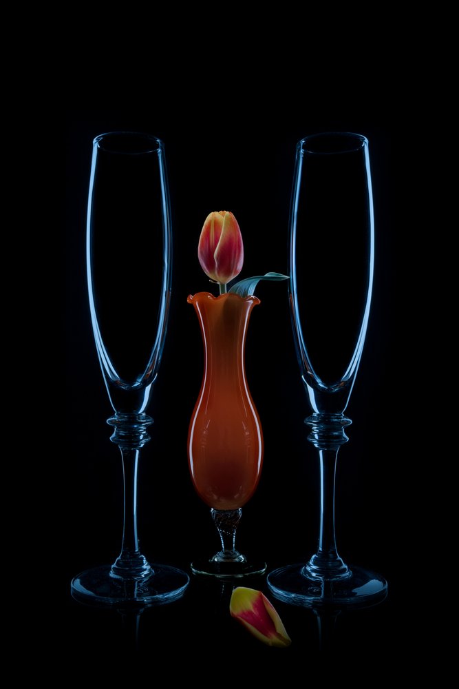 Flûtes « Intimate Tulip » - Lydia Jacobs