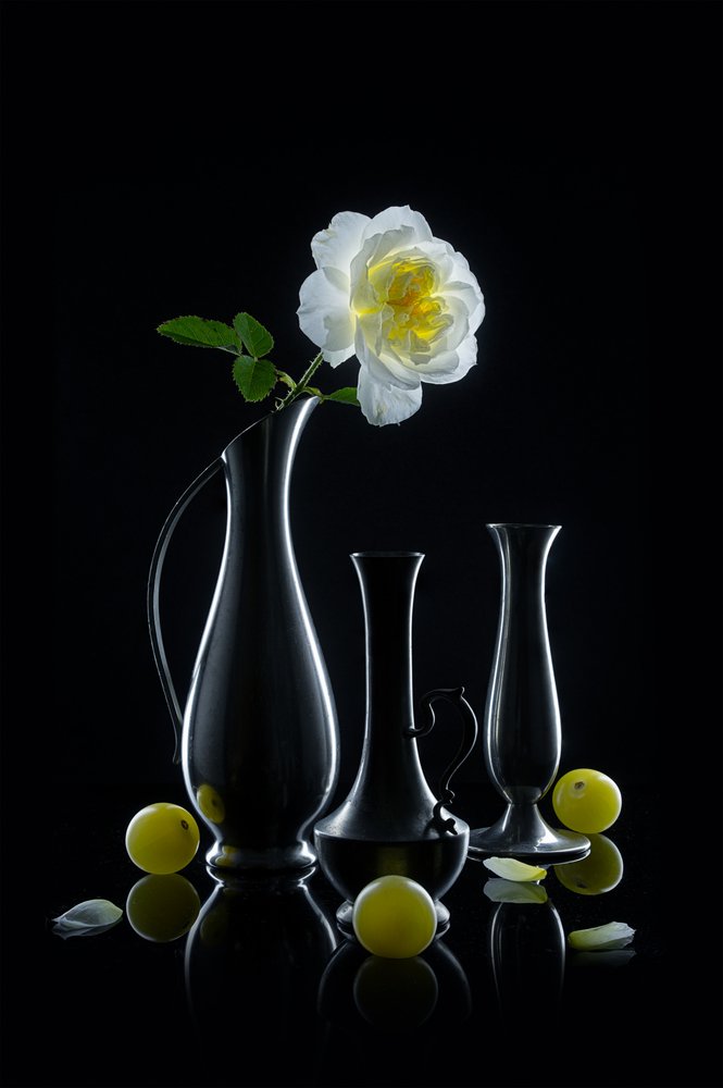 Rose lumineuse et vases - Lydia Jacobs