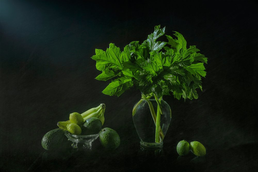Nature morte botanique luxuriante - Lydia Jacobs