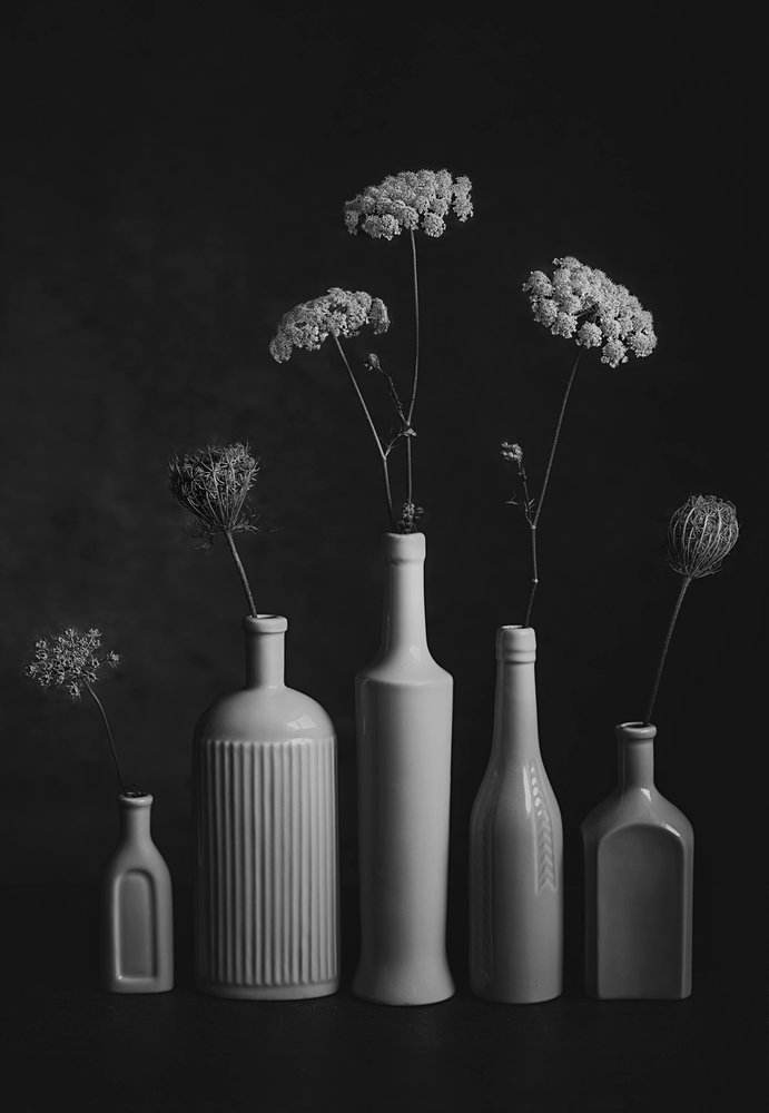 Nature morte botanique en noir et blanc - Lydia Jacobs