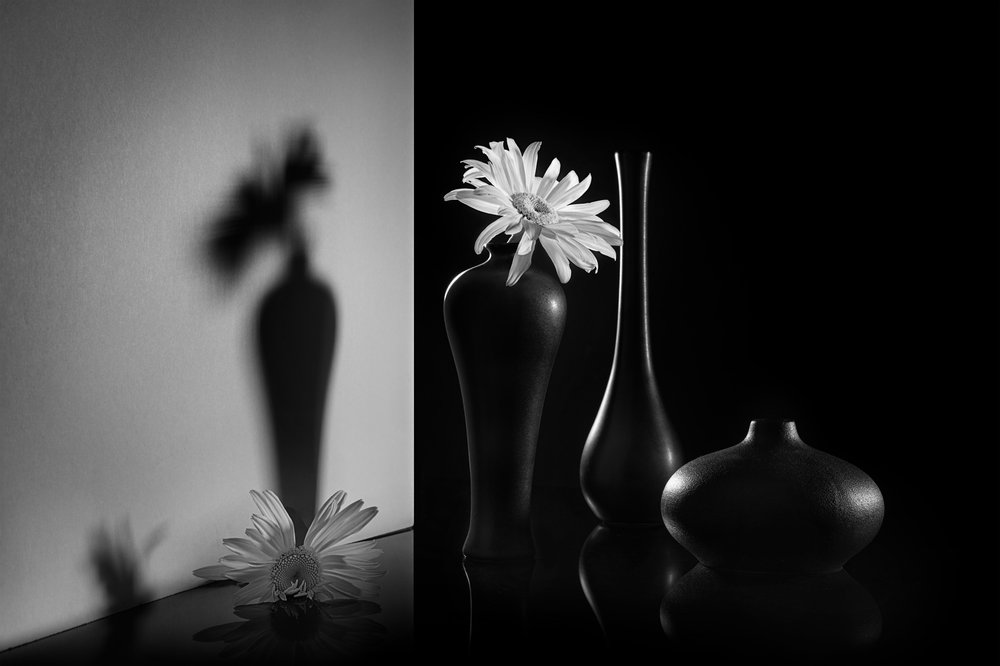 Monochrome à deux motifs floraux - Lydia Jacobs