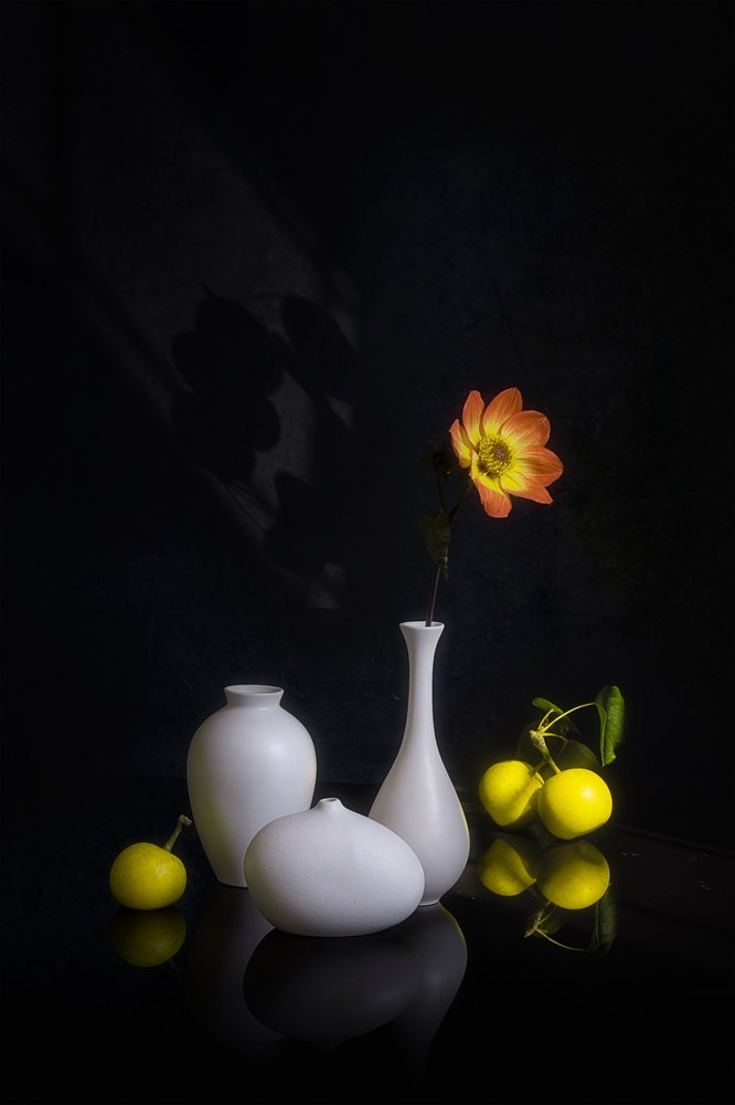 Fleurs et fruits de Moody - Lydia Jacobs