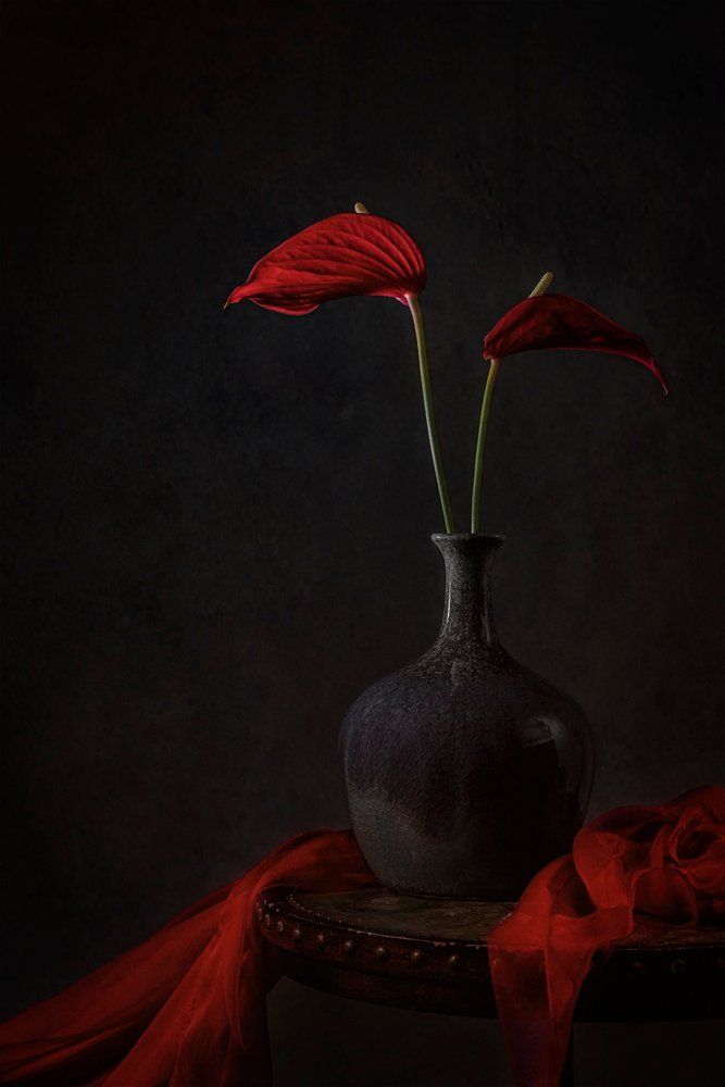 Anthuriums « Moody Red » - Lydia Jacobs