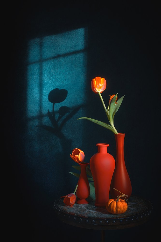 Nature morte aux tulipes mélancoliques - Lydia Jacobs