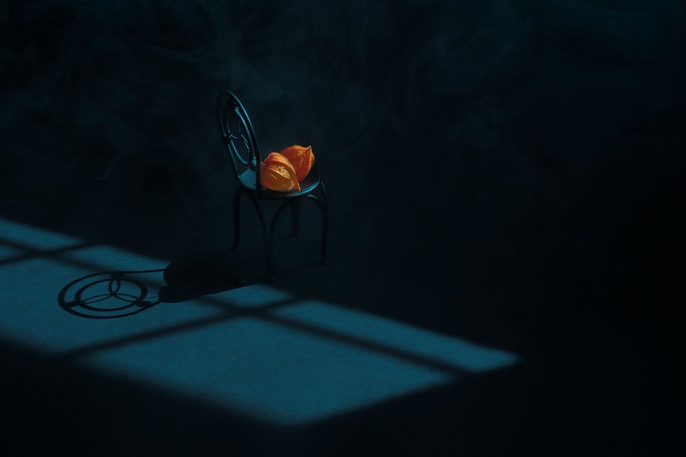 Nature morte aux gousses d