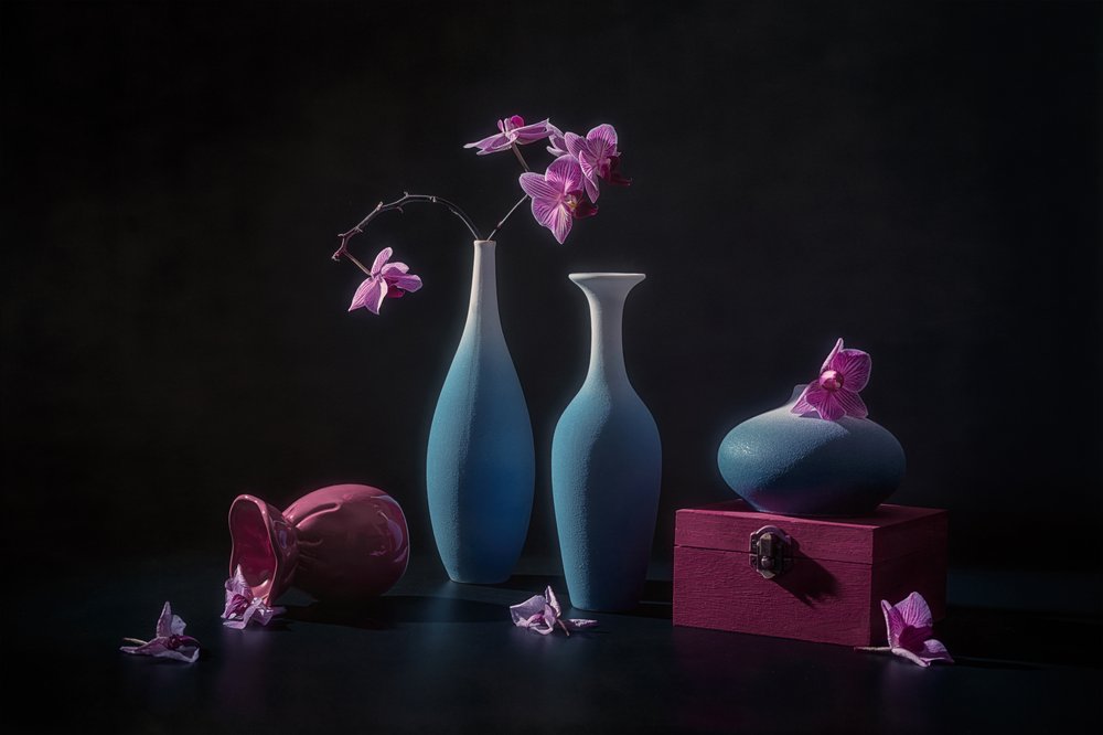 Orchidées roses et vases - Lydia Jacobs