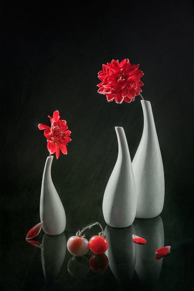 Dahlia rouges et vases - Lydia Jacobs