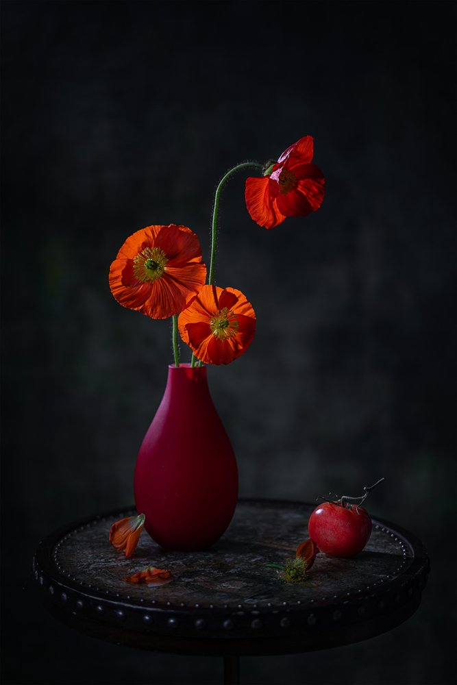 Nature morte sombre aux coquelicots rouges - Lydia Jacobs