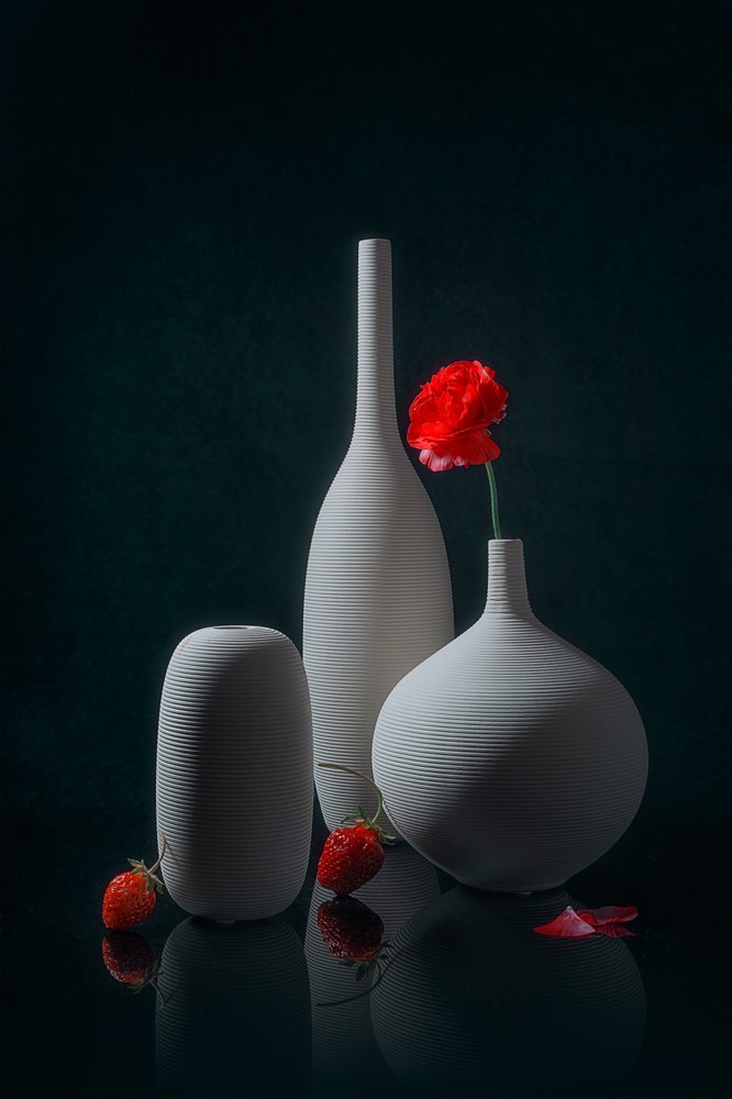 Coquelicots rouges et vases blancs - Lydia Jacobs