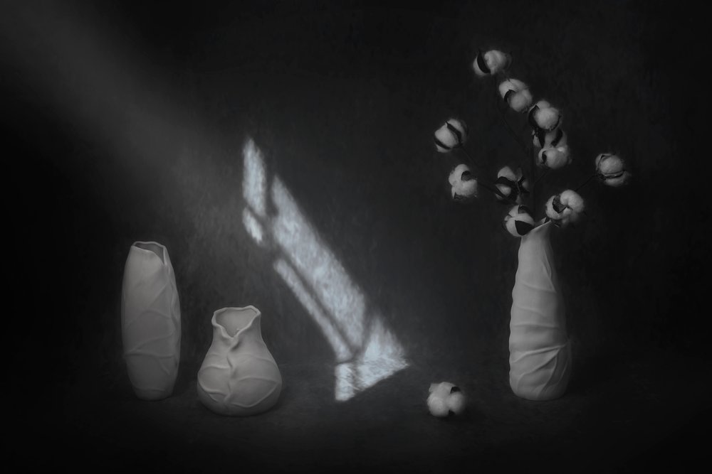 Nature morte sereine au coton - Lydia Jacobs