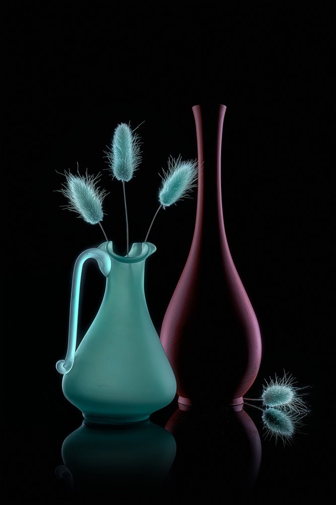 Vases avec des queues de lapin - Lydia Jacobs