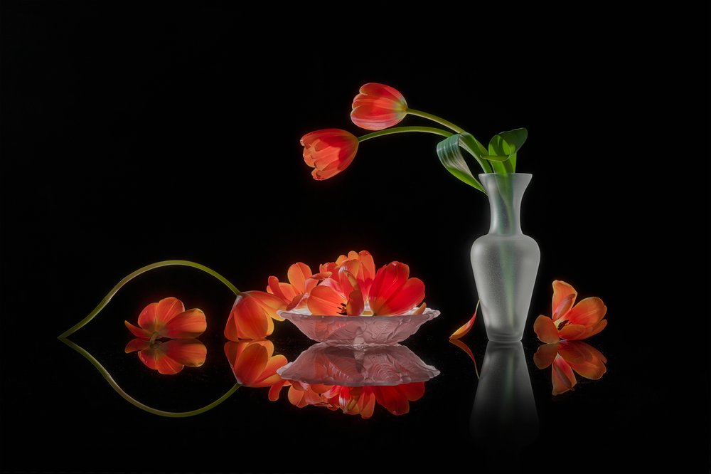 Nature morte aux tulipes aux couleurs vives - Lydia Jacobs