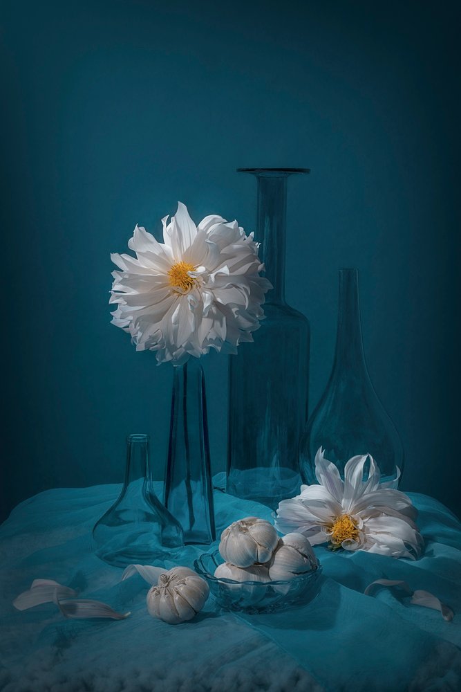 Nature morte au dahlia blanc - Lydia Jacobs