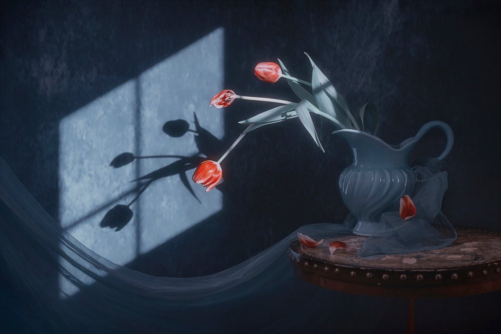 Tulipes à la lumière de la fenêtre - Lydia Jacobs
