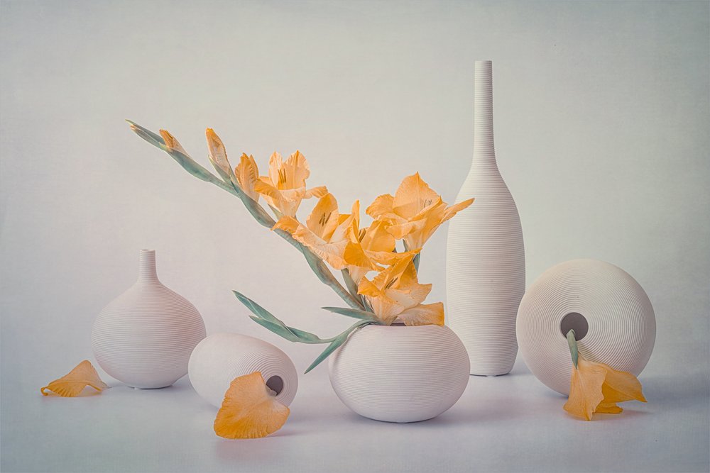 Fleurs jaunes dans des vases blancs - Lydia Jacobs