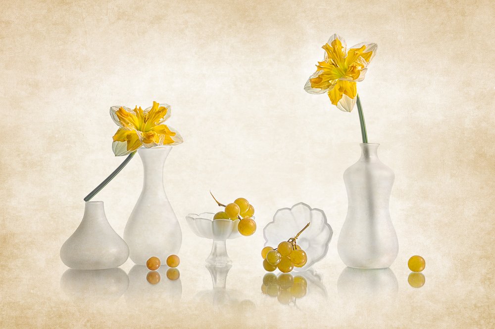 Jonquilles jaunes et raisins - Lydia Jacobs