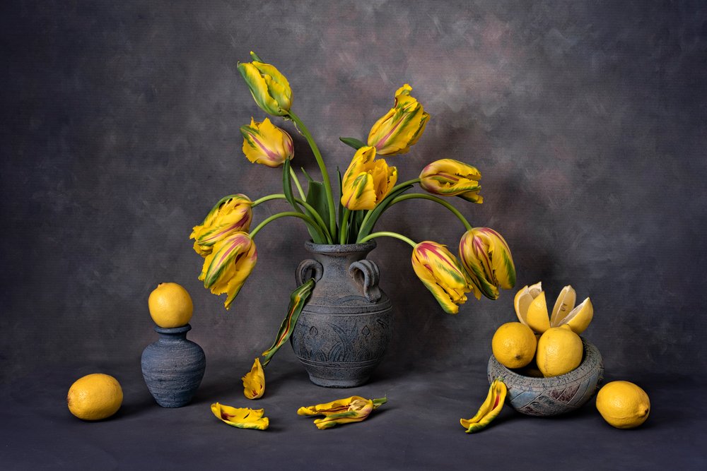 Tulipes jaunes et citrons - Lydia Jacobs