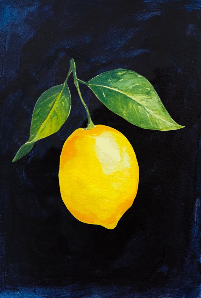 Une branche de citronnier aux couleurs vives - Madison Phipps