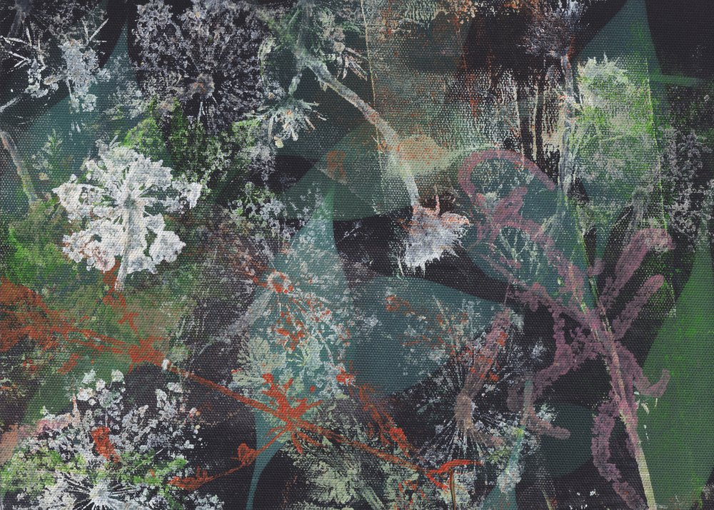 Pissenlits verts abstraits - Maira Ribena