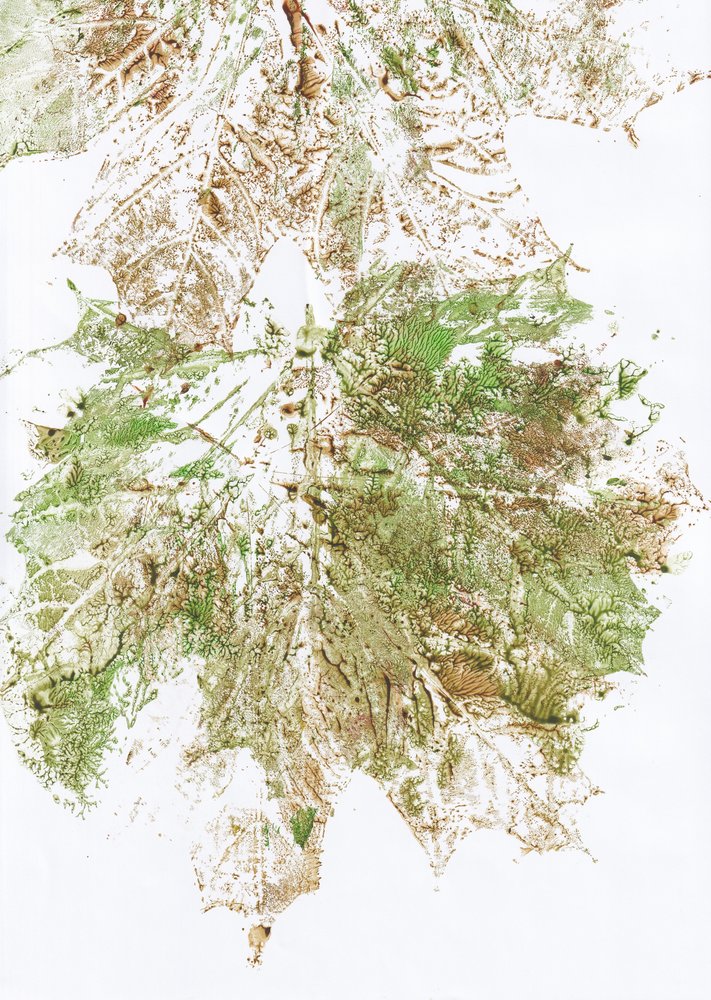 Imprimé feuilles d