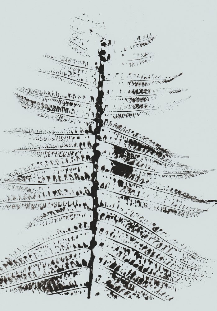 Black Ink Fern - Maira Ribena