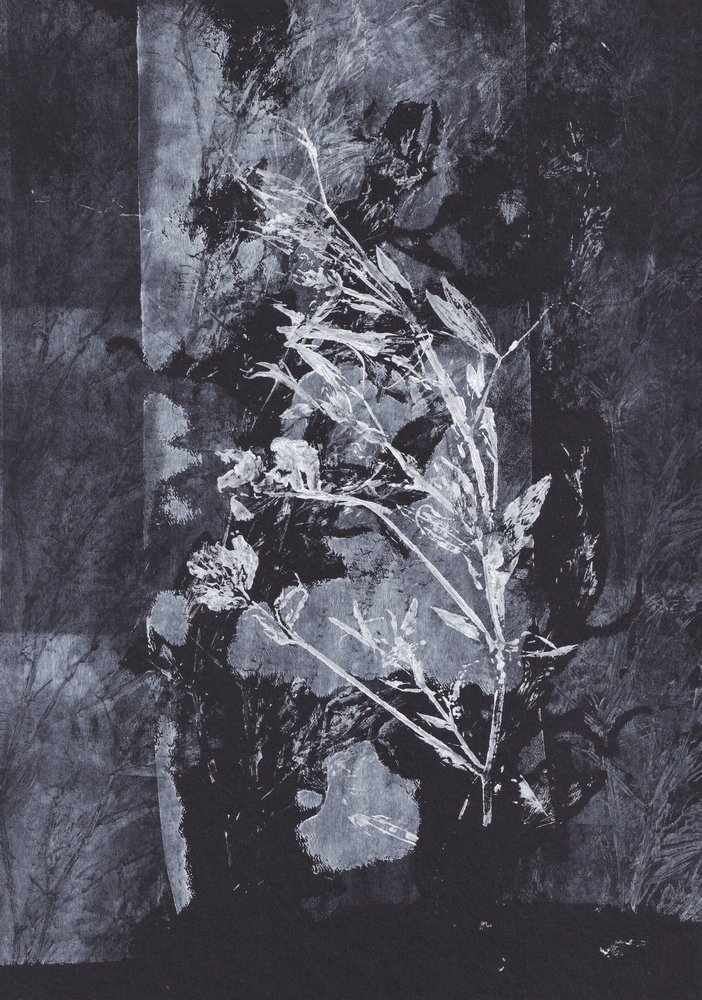  - Maira Ribena