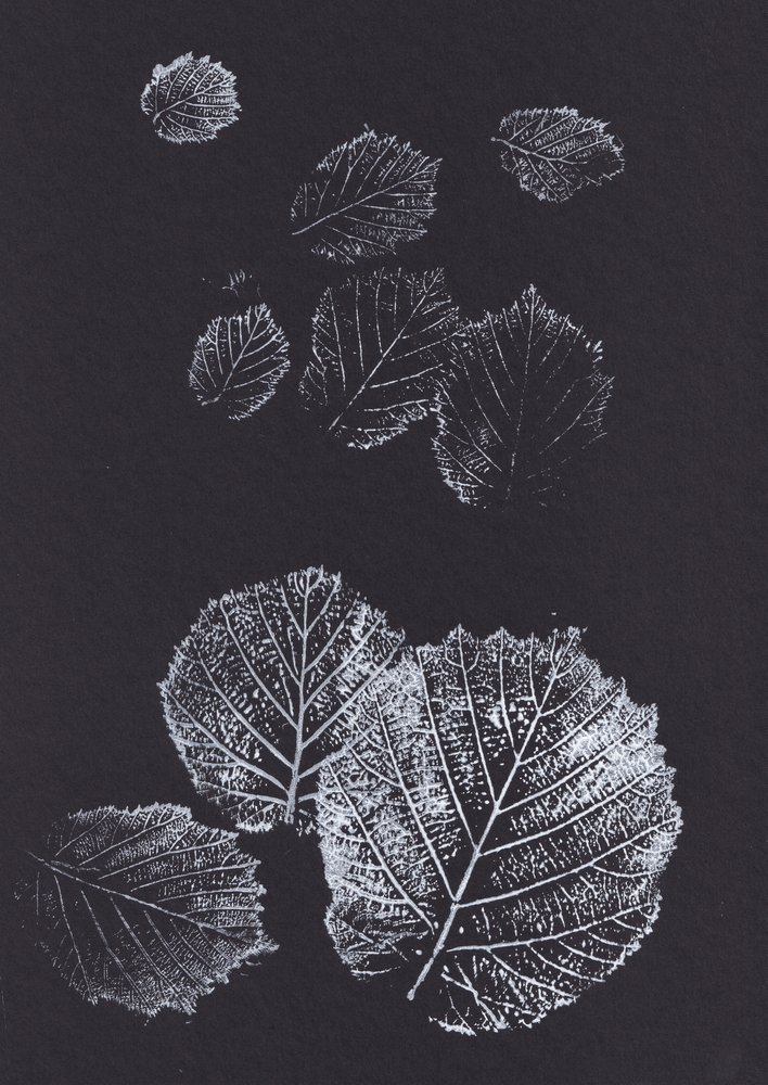 Imprimés botaniques de feuilles - Maira Ribena