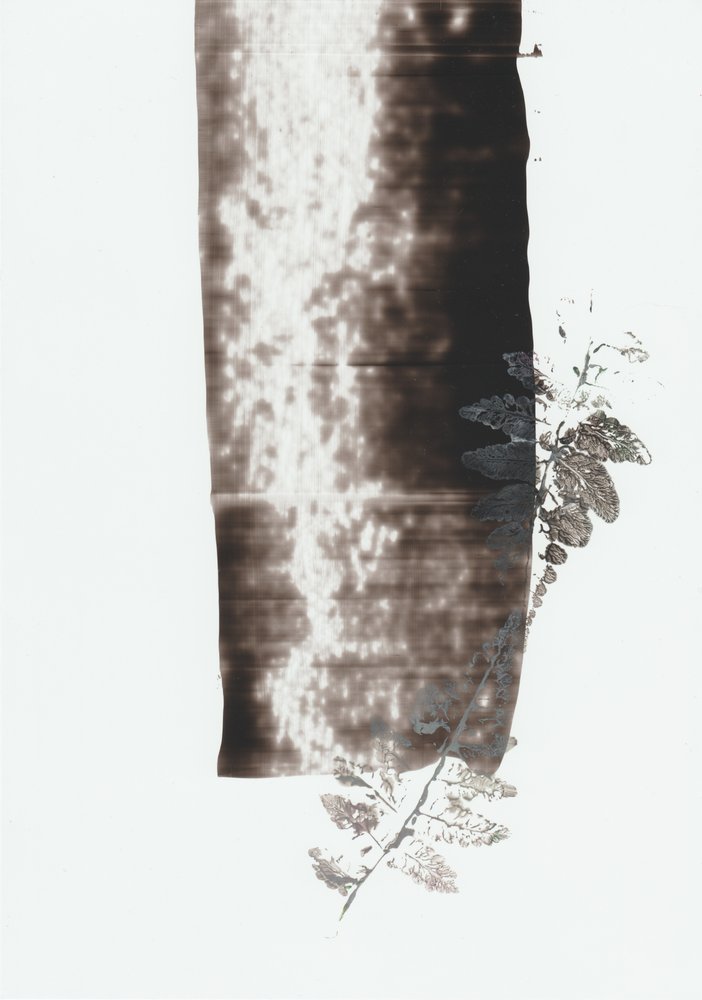 Traits botaniques sombres - Maira Ribena