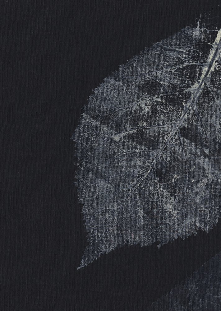 Les nervures sombres des feuilles - Maira Ribena