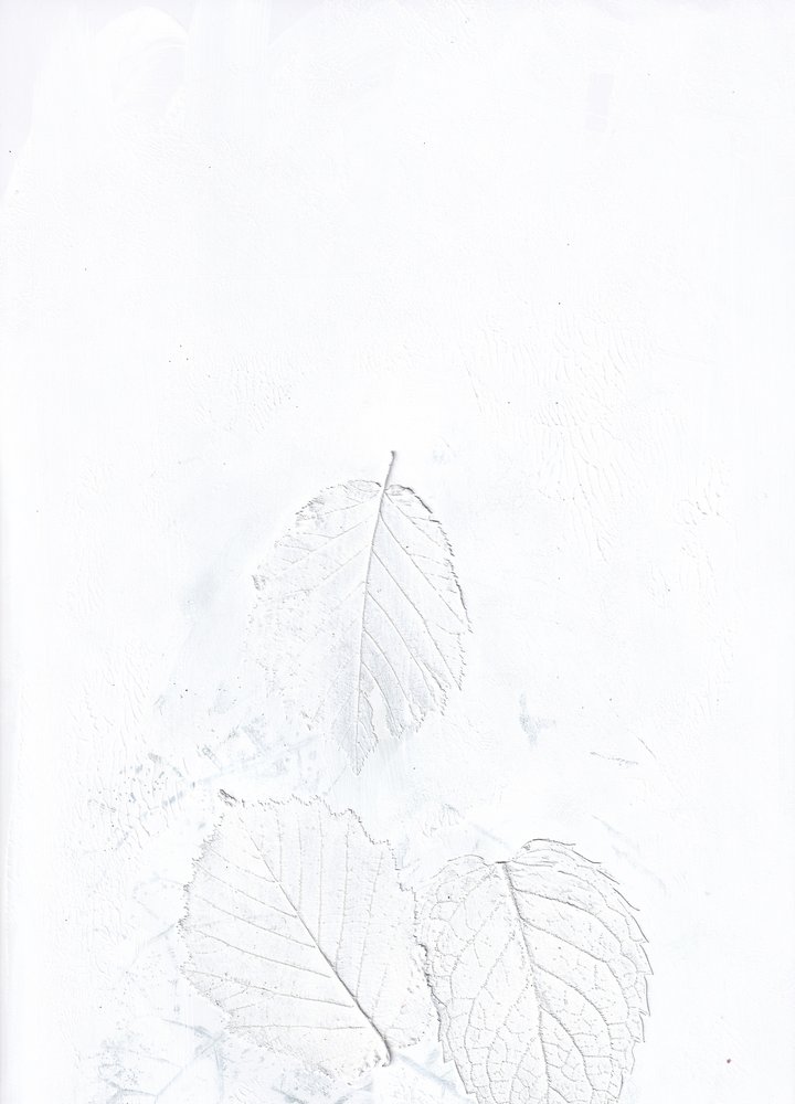  - Maira Ribena