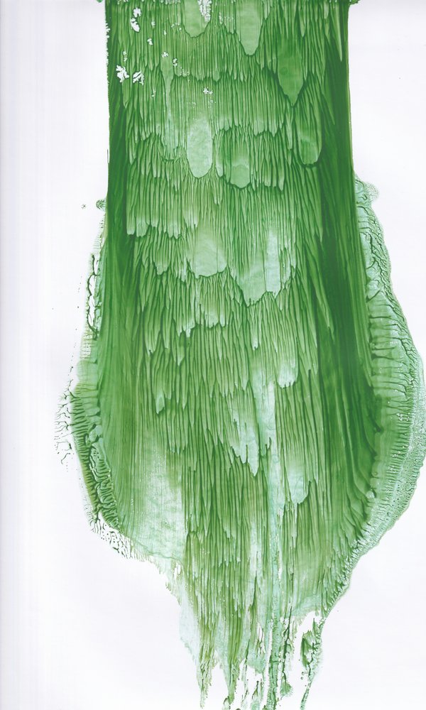  - Maira Ribena