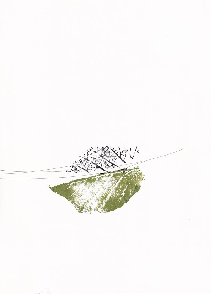 Feuilles vertes et branches nues - Maira Ribena