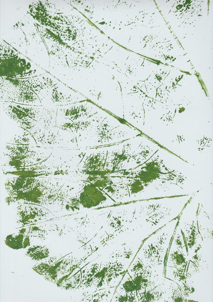 Impression de feuille verte - Maira Ribena