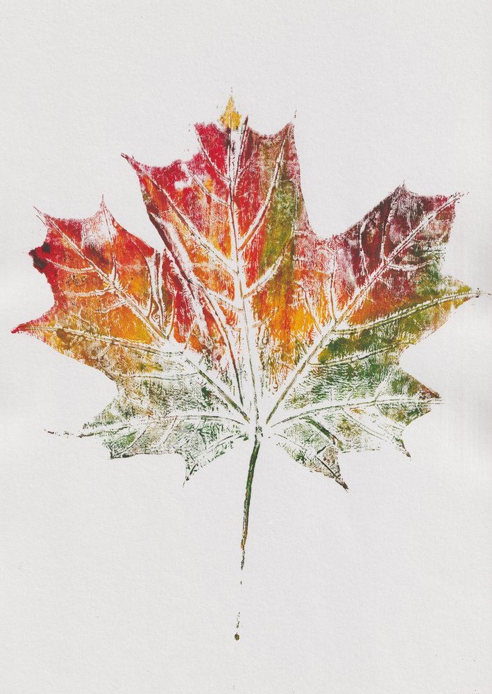 Feuille d