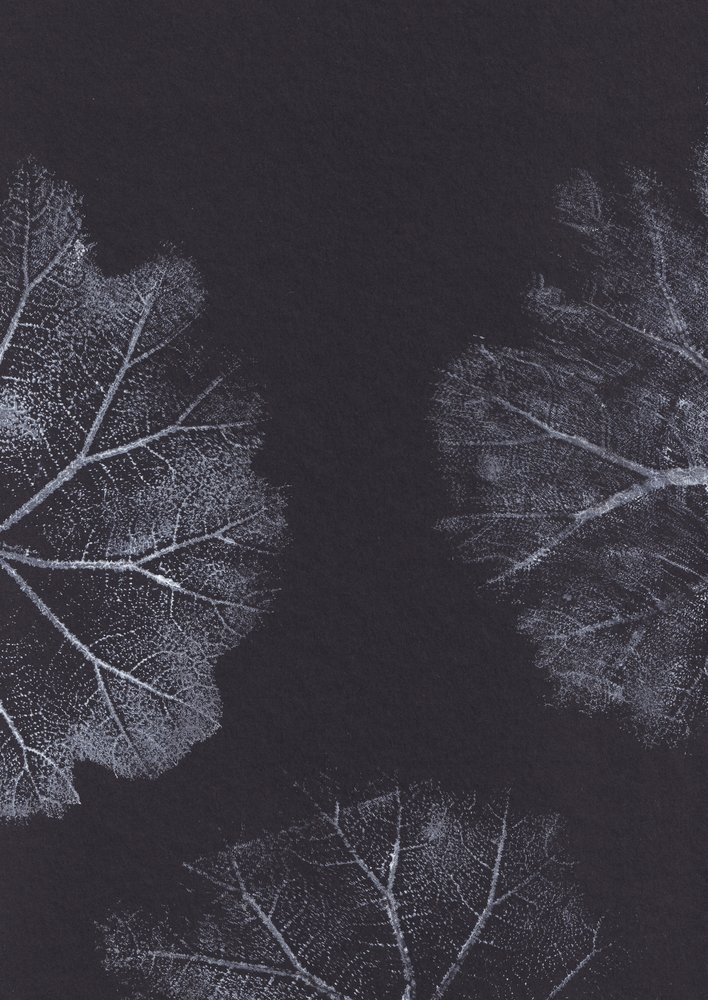 Textures de feuilles monochromes - Maira Ribena