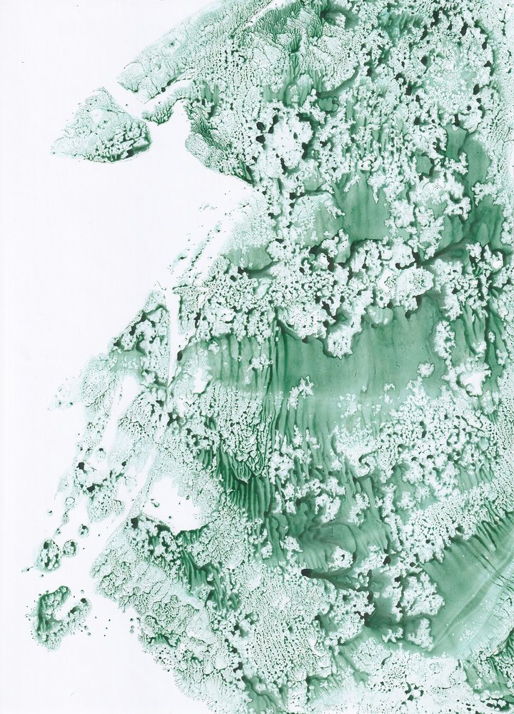  - Maira Ribena