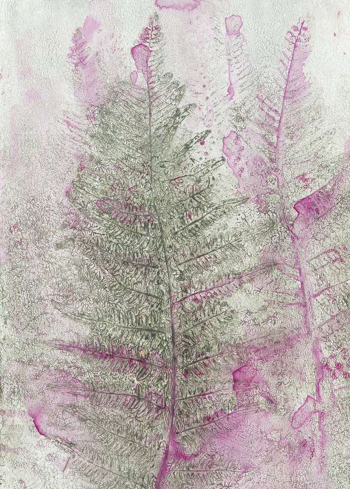  - Maira Ribena