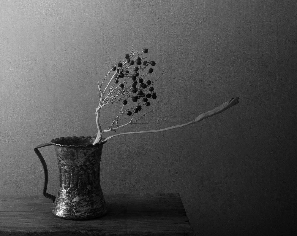 Nature morte aux baies noires - Margaret Halaby