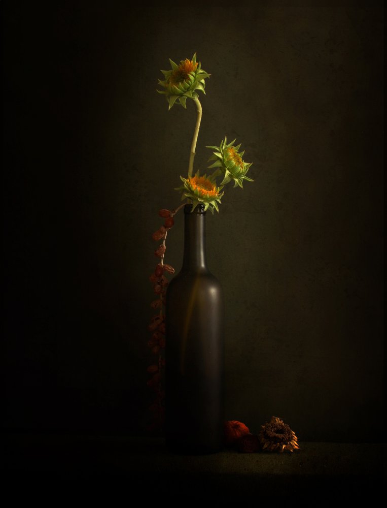 Nature morte au tournesol mélancolique - Margaret Halaby