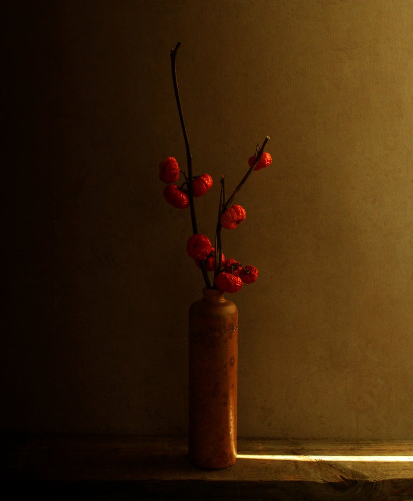 Nature morte aux baies rouges - Margaret Halaby