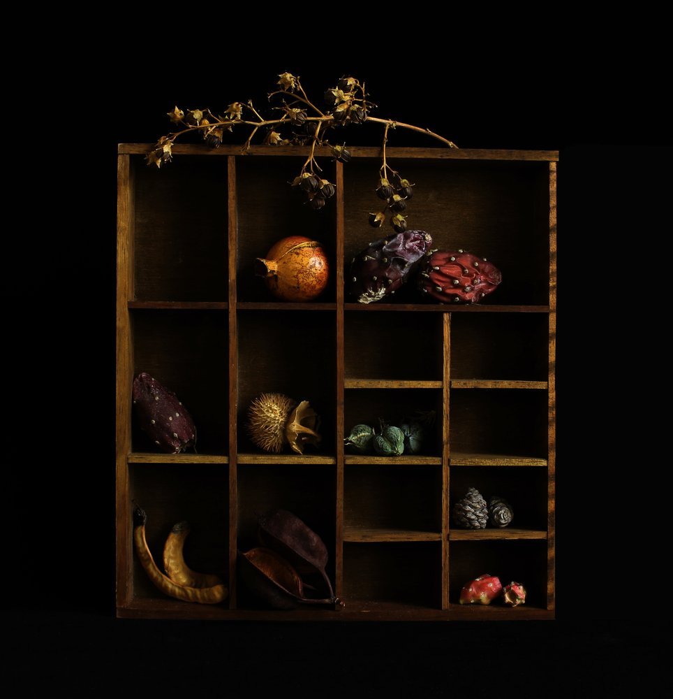 Nature morte botanique rustique - Margaret Halaby