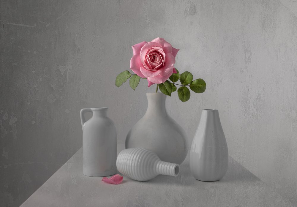 Nature morte aux roses roses délicates - Margareth Perfoncio
