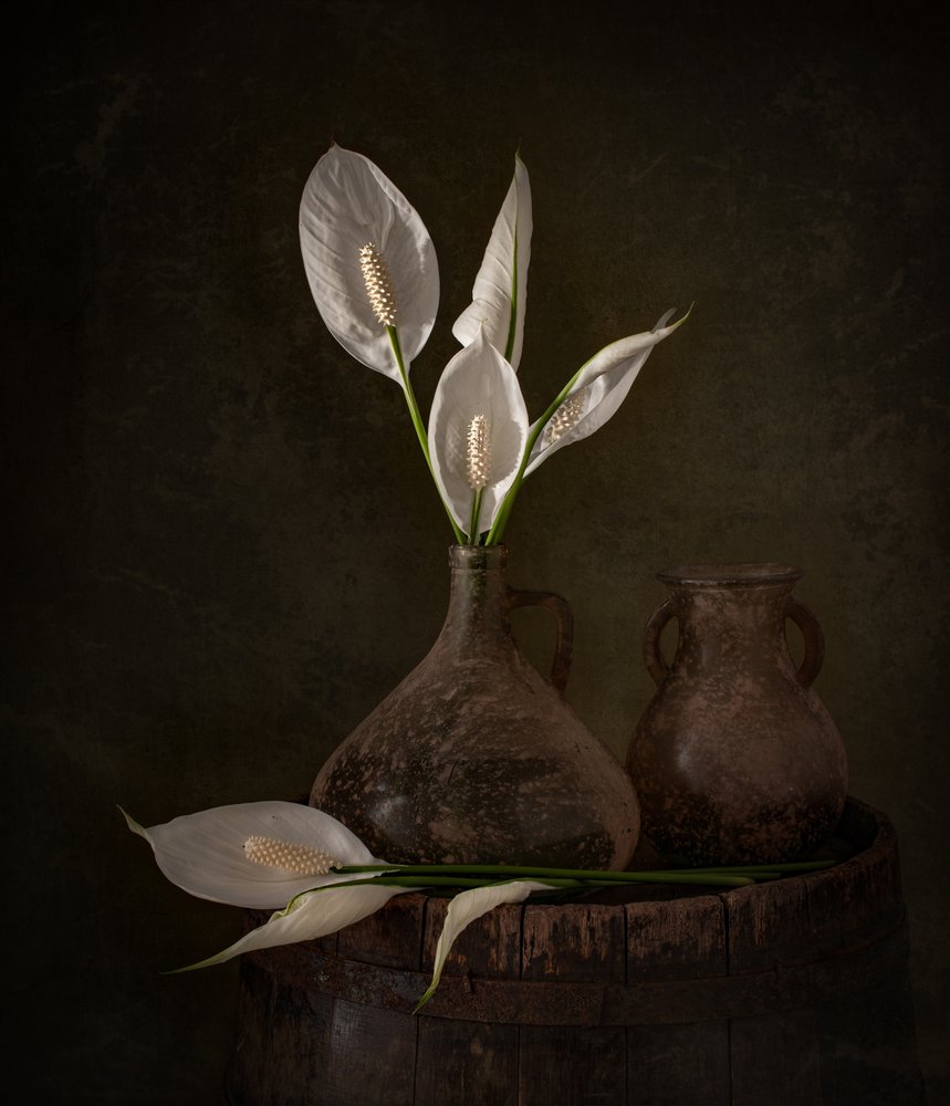 Les lis de la paix Moody - Margareth Perfoncio