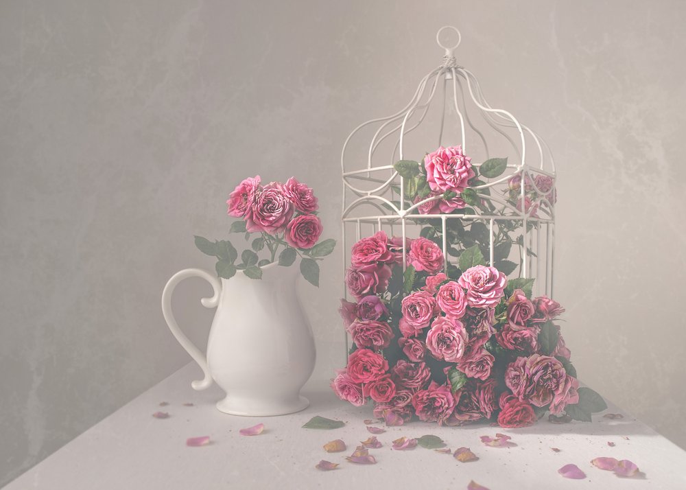 Des roses et une cage à oiseaux - Margareth Perfoncio