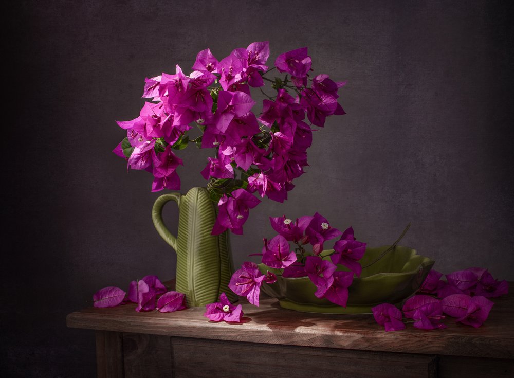 Nature morte aux bougainvilliers aux couleurs vives - Margareth Perfoncio