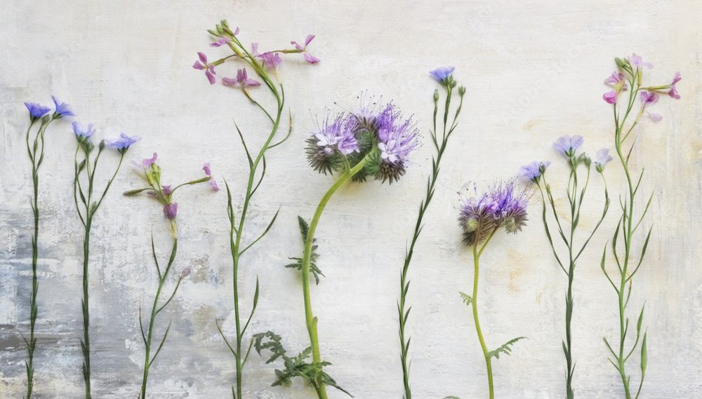 Tiges de fleurs sauvages éthérées - Marie-anne Stas